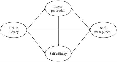 Health literacy and self-management among middle-aged and young hypertensive patients: a parallel mediation effect of illness perception and self-efficacy